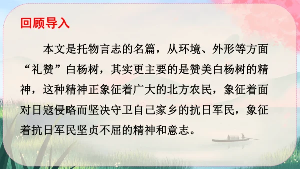 15《白杨礼赞》课件