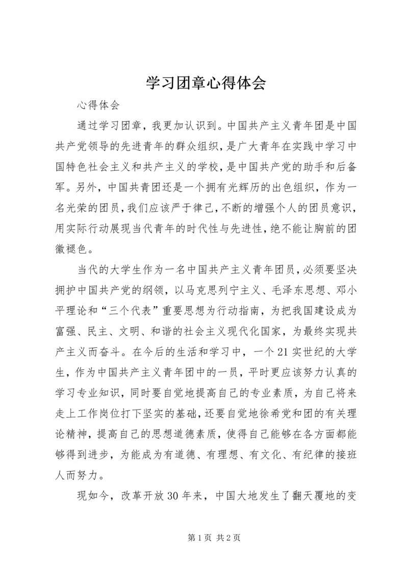 学习团章心得体会 (2).docx