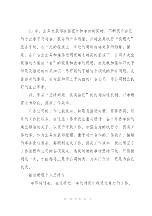 销售助理个人总结5篇.docx