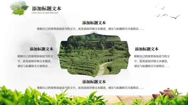 茶文化茶道新茶产品介绍通用PPT模板