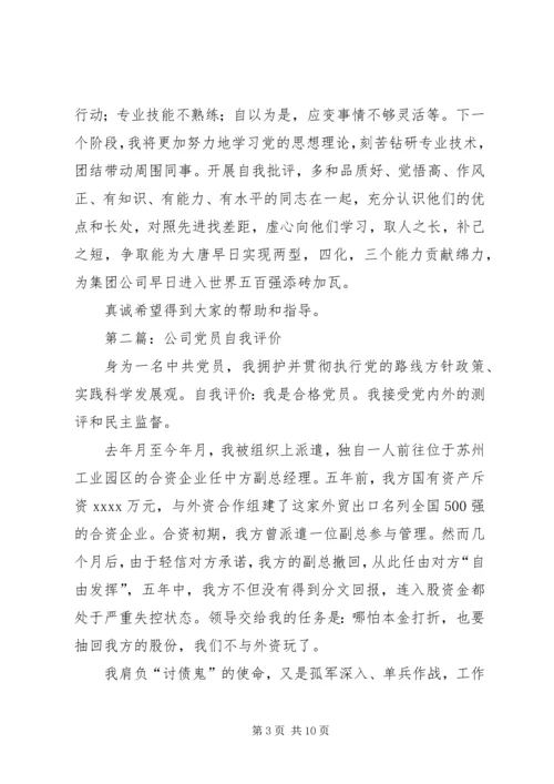 第一篇：公司个人党员自我评价.docx