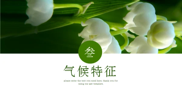 立春节气通用PPT模板