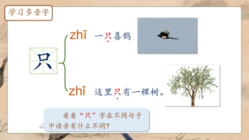【核心素养】部编版语文一年级下册-5. 树和喜鹊 第1课时（课件）