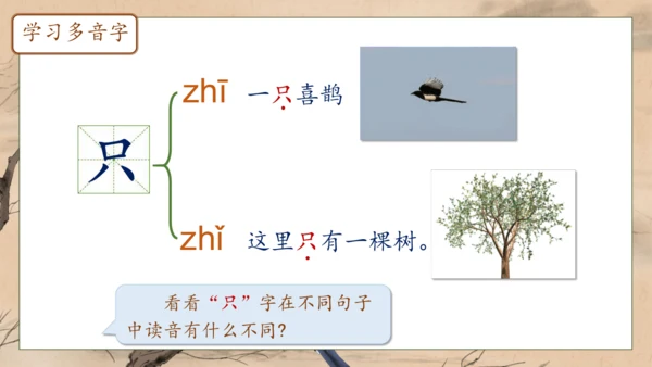 【核心素养】部编版语文一年级下册-5. 树和喜鹊 第1课时（课件）