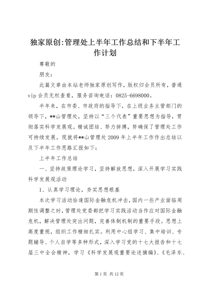 独家原创-管理处上半年工作总结和下半年工作计划.docx