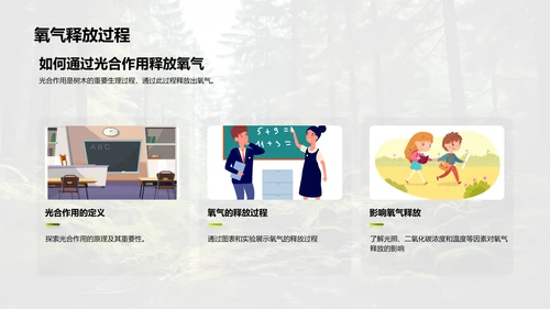 树木的生态密码