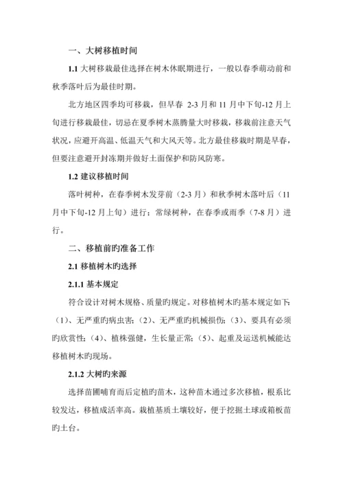 大树移栽重点技术标准流程.docx