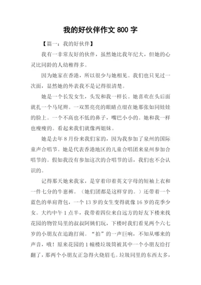 我的好伙伴作文800字.docx