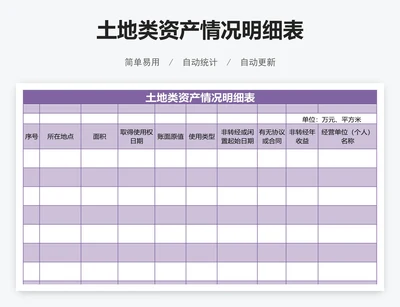 土地类资产情况明细表