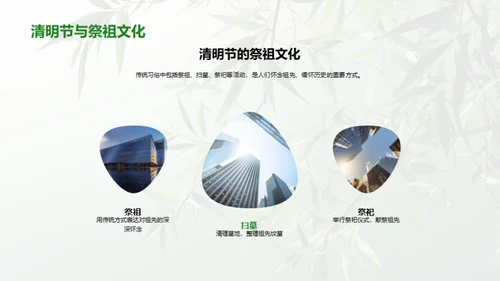 清明节的环保新风尚