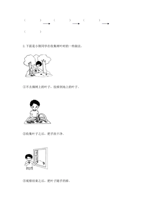 教科版科学一年级上册第一单元《植物》测试卷附答案【综合题】.docx