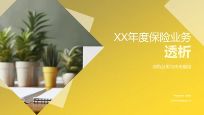 XX年度保险业务透析