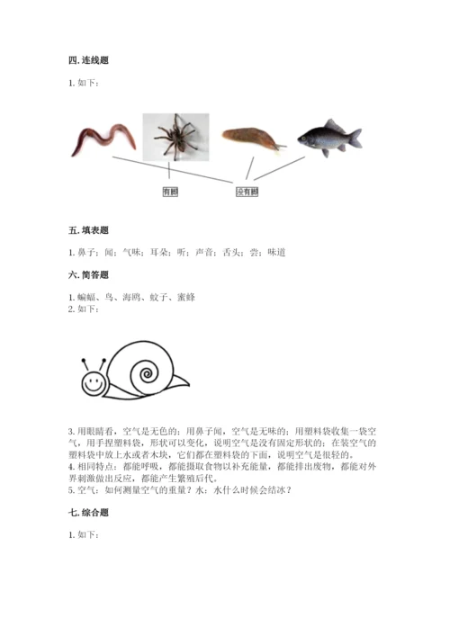 教科版小学科学一年级下册期末测试卷附答案（培优a卷）.docx