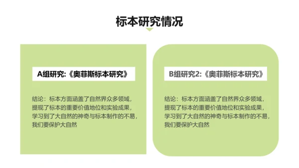 小清新风绿色实验报告PPT