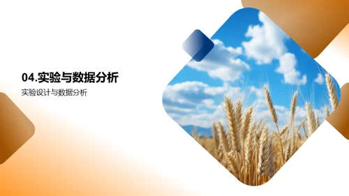农学研究导引