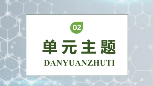 【核心素养】部编版语文四年级下册-7.纳米技术就在我们身边 第2课时（课件）