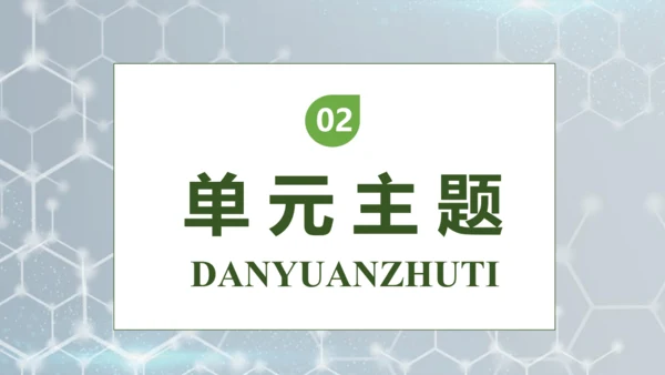 【核心素养】部编版语文四年级下册-7.纳米技术就在我们身边 第2课时（课件）