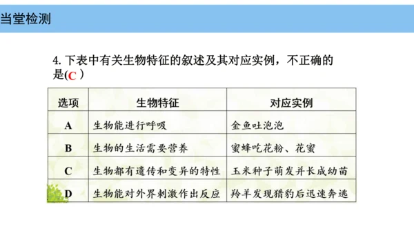 人教版（2024）七年级上册1.1.2生物的特征 课件(共24张PPT)