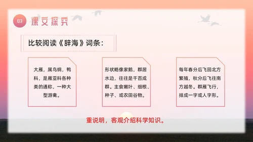 粉色简约八年级语文下册大雁归来PPT模板宣传PPT动态PP