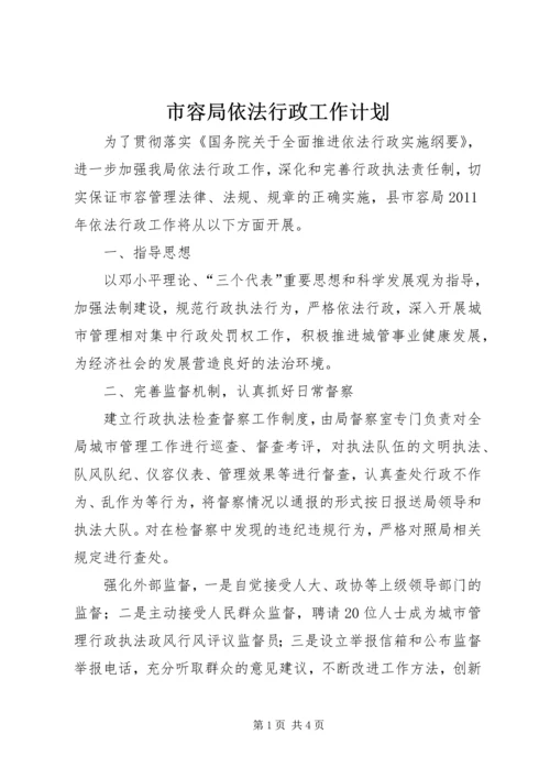 市容局依法行政工作计划.docx