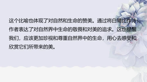 《1 白鹭》课件