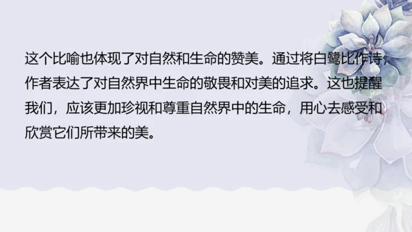 《1 白鹭》课件