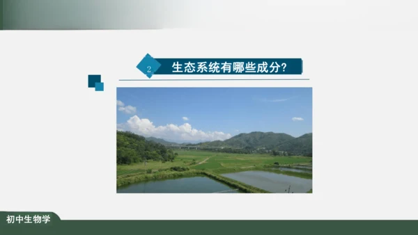 1.2.2 生物与环境组成生态系统 课件（共30张PPT）