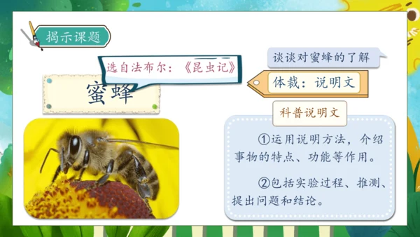 【核心素养】部编版语文三年级下册-14. 蜜蜂 第1课时（课件）