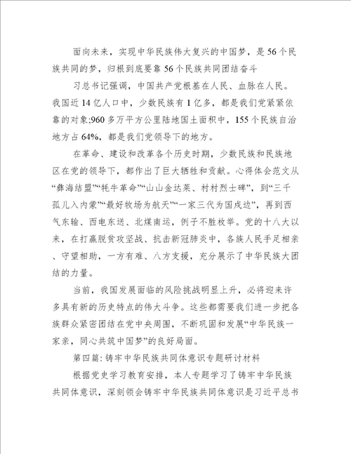 铸牢中华民族共同体意识专题研讨材料(通用5篇)