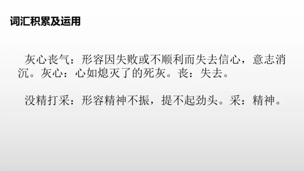 2美丽的鹿角  课件