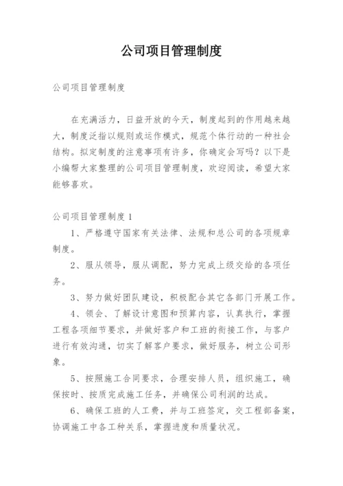 公司项目管理制度_15.docx