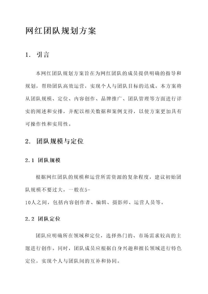 网红团队规划方案