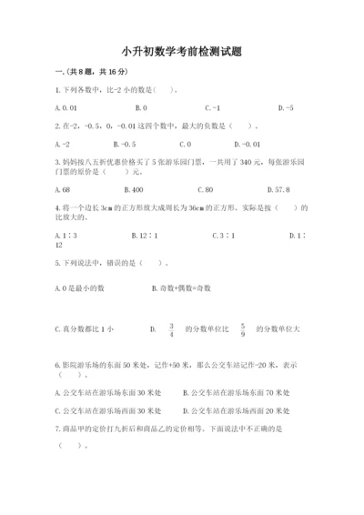 小升初数学考前检测试题（培优）.docx