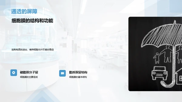 生命之源：细胞揭秘