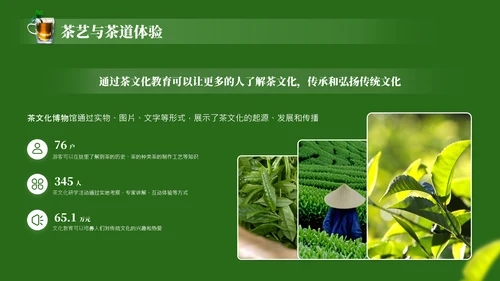 茶文化采茶旅游PPT模板_采茶之旅与文化体验报告PPT模板