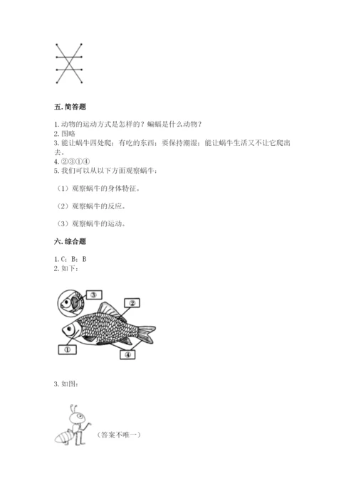 教科版一年级下册科学期末测试卷【综合题】.docx