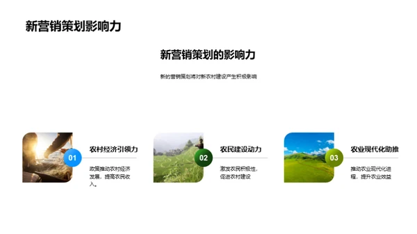 新农村营销策划