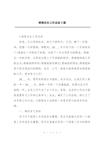 销售店长工作总结5篇.docx