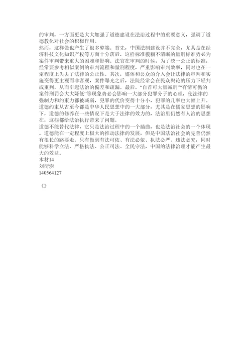 【精编】法治社会论文.docx