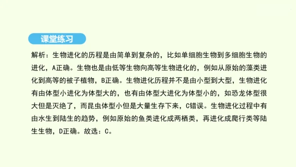 7.3.2生物进化的历程课件-人教版生物八年级下册(共23张PPT)