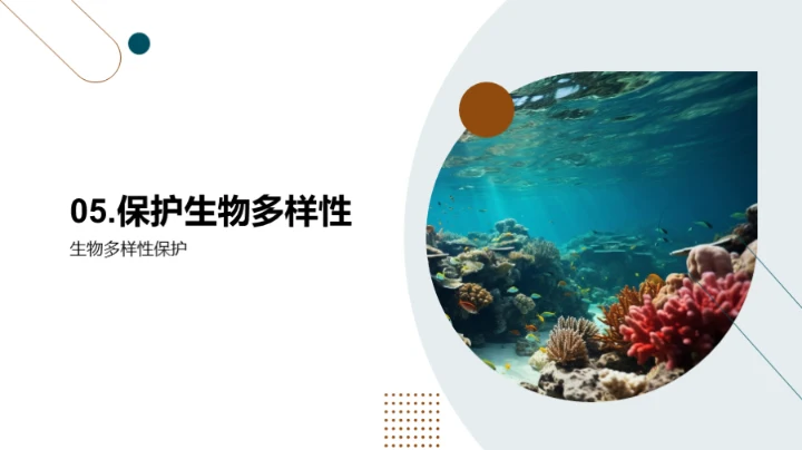 生物演化与多样性