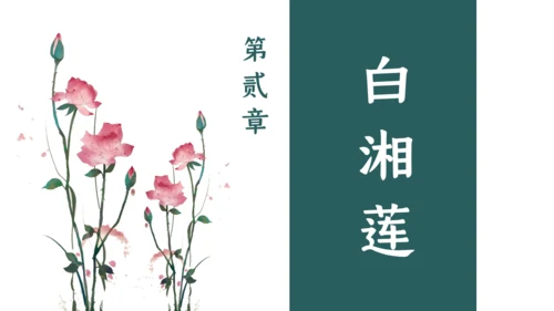 夏雨荷通用PPT模板