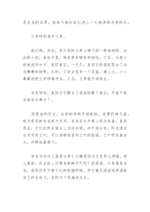 我终于懂了作文600字(精选21篇).docx