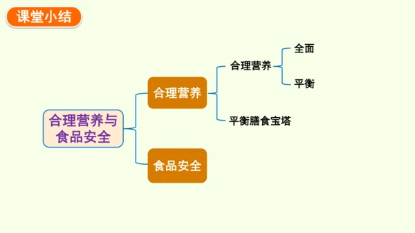 4.2.3合理营养与食品安全-七年级生物下学期同步精品课件（2024人教版）(共32张PPT)