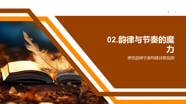 诗歌的奥秘探索