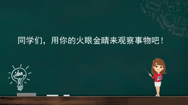 统编版语文三年级上册 第五单元习作： 我们眼中的缤纷世界课件