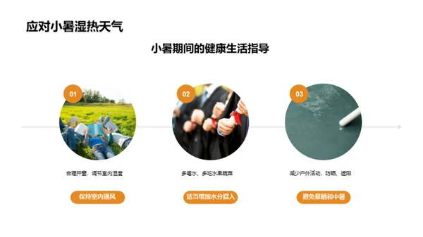 小暑节气探索