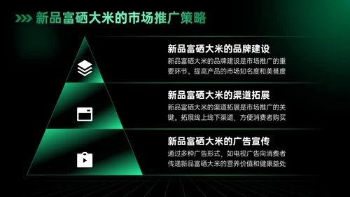 绿色科技风科技富硒大米新品发布会