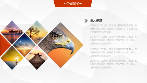 全球化信息科技公司介绍企业简介通用PPT模板