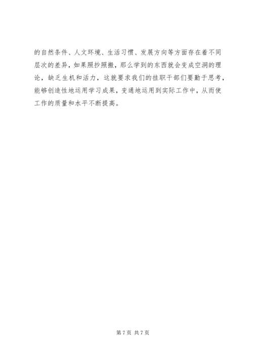 县挂职干部探讨会发言文稿.docx